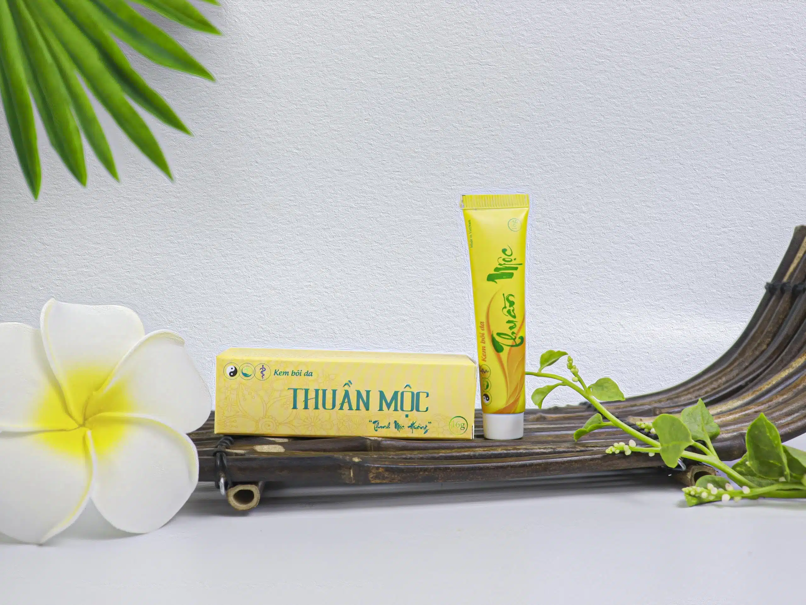 Kem Bôi Da Thuần Mộc - Ảnh 5